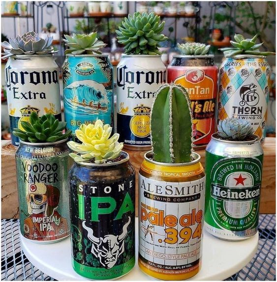 Plant Beer Can