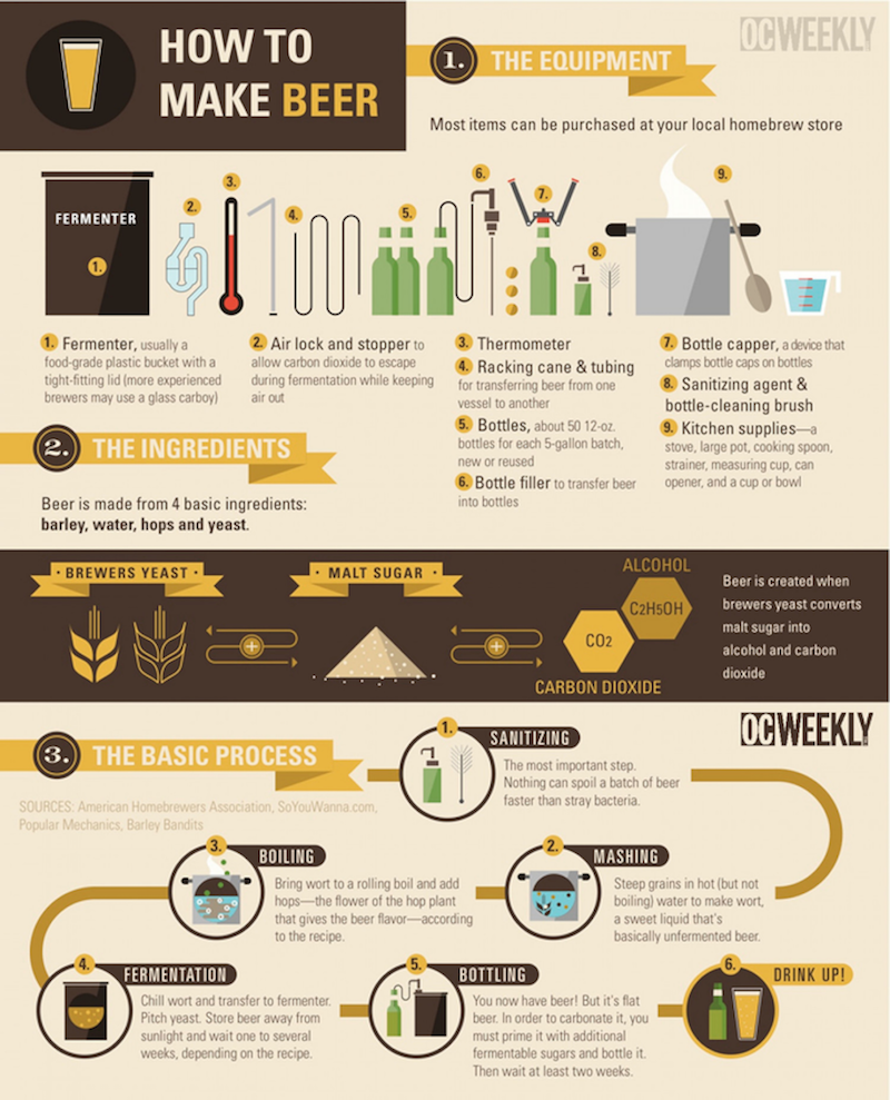 infographic beer