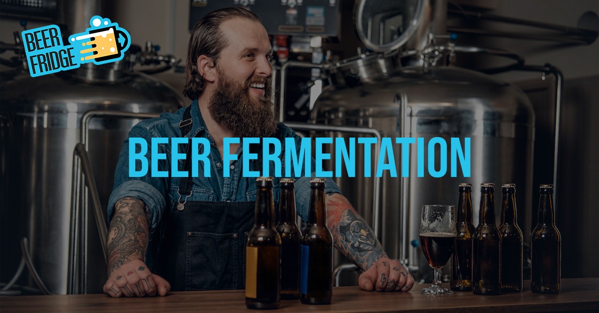Beer Fermentation